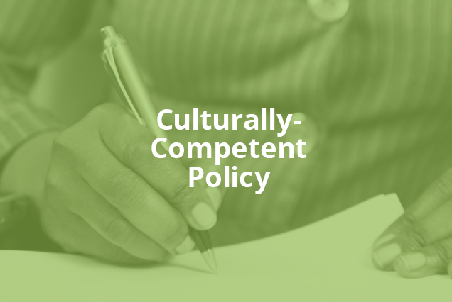 Initiative: Promoting Culturally-Competent Policy Research